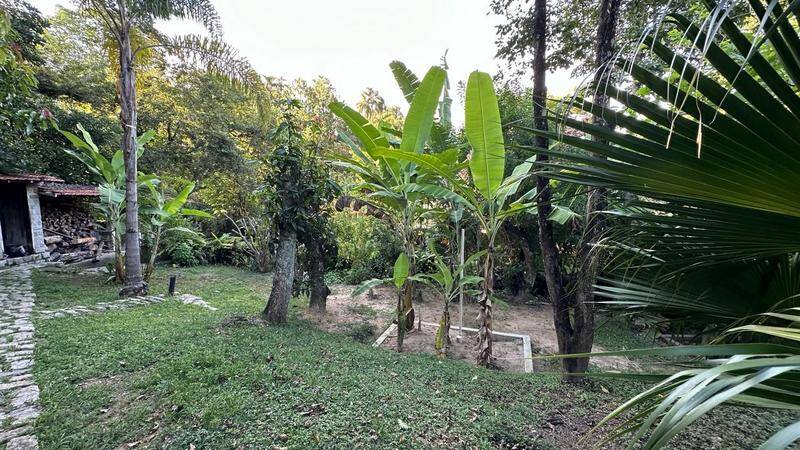 Casa, 4 quartos, 700 m² - Foto 64